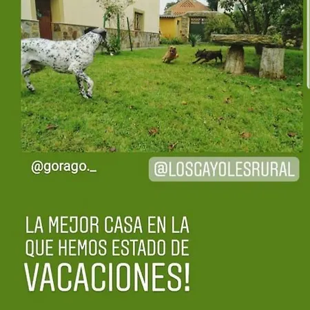منزل ريفي Los Gayoles